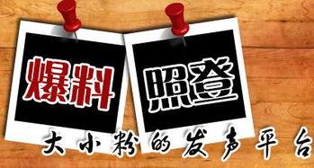 重庆新闻媒体爆料大全,聚焦城市热点，解码社会动态  第1张