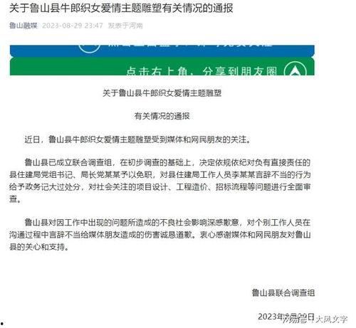 鲁山爆料者最新回应新闻,揭秘事件真相与后续发展 第3张 鲁山爆料者最新回应新闻,揭秘事件真相与后续发展 第3张