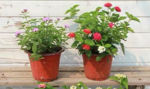 超体地图最新爆料视频,最新爆料视频深度解析 第2张 超体地图最新爆料视频,最新爆料视频深度解析 第2张